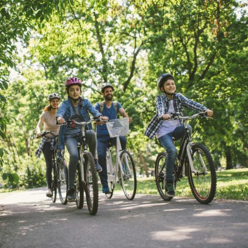 Zon E-fiets